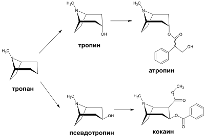 Skraup quinoline synthesis mechanism